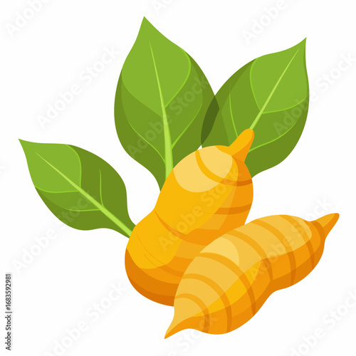 Turmeric roots with leaves