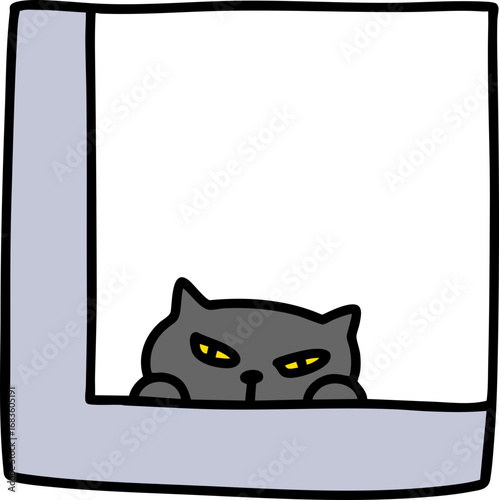 black cat on a window