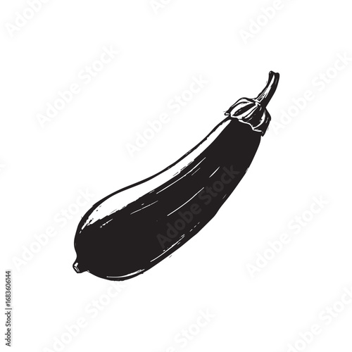 Zucchini Vector (2).eps