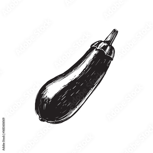 Zucchini Vector (3).eps
