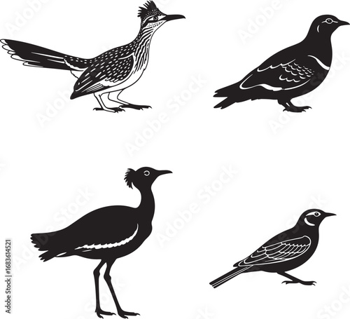 Bird Silhouette Compilation Featuring Roadrunner Pigeon Bustard and Starling on White Background