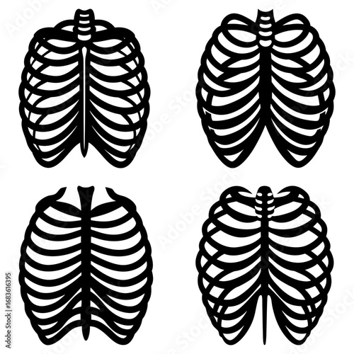 Collection of four rib cage illustrations in black and white anatomical skeletal structure depiction art 100