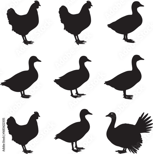 Black silhouettes of chickens ducks and a turkey standing on white background vector illustration