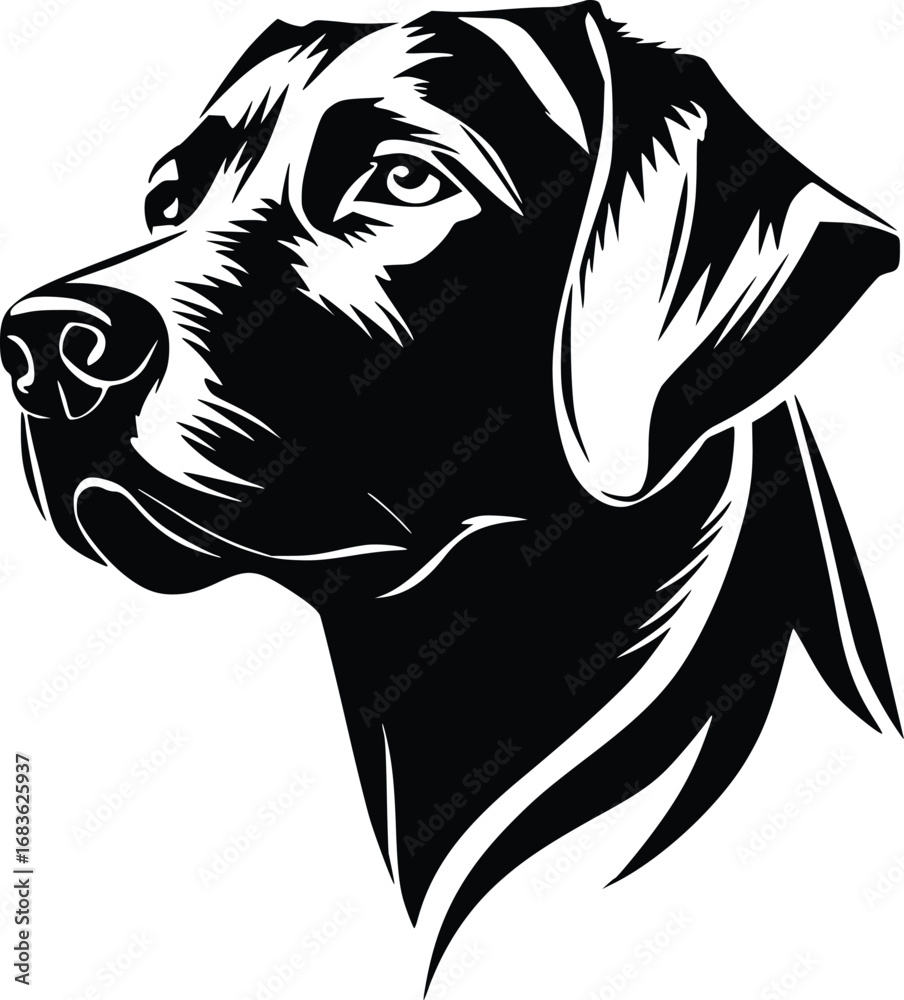 Fototapeta premium Chesapeake Bay Retriever head silhouette with wavy fur and focused gaze in black vector design
