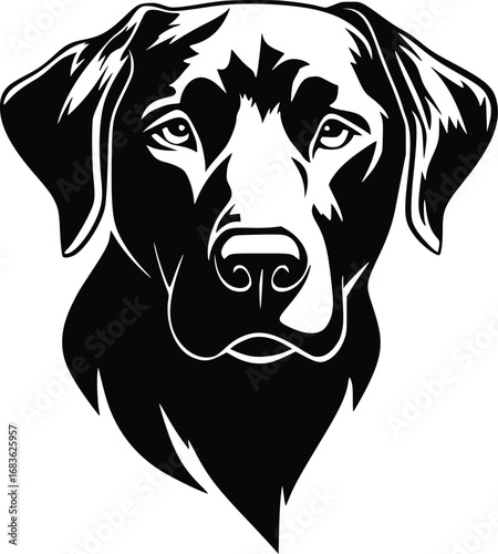 Chesapeake Bay Retriever head silhouette with wavy coat and focused gaze in black vector design
