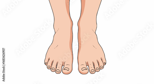 Human Bare Feet on White Background