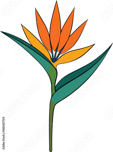 Vibrant bird of paradise flower vector illustration scalable eps graphic transparent background