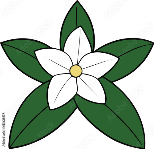 Elegant star jasmine flower vector illustration scalable eps icon botanical art transparent background