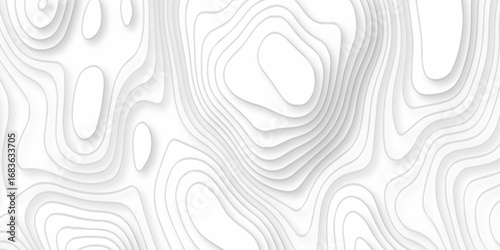 Contour abstract map relief land outline. Topographic map patterns. White wave paper curved reliefs abstract background. Background of the topography map. Abstract pattern with lines.	
