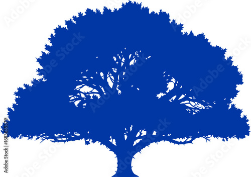 majestic cobalt oak silhouette timeless strength, enduring wisdom, and serene majesty, isolated on transparent background