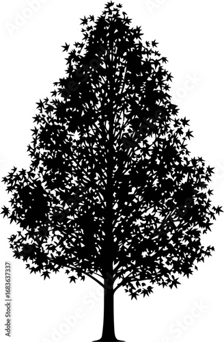 silhouette of a mighty tree natures timeless strength and enduring grace, isolated on transparent background