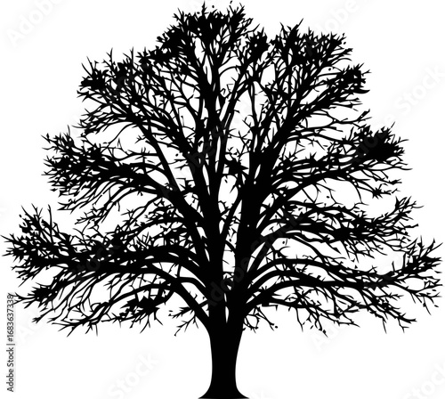 stark silhouette a leafless trees winter elegance, symbolic of resilience and times passage, isolated on transparent background