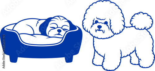 sweet dreams and watchful eyes a shih tzus slumber, a bichons vigil, isolated on transparent background