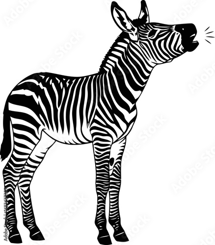 striped zebra silhouette a call for unity, freedom, and wild spirit, isolated on transparent background