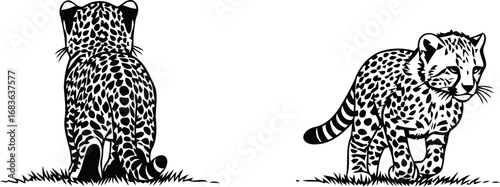 two cheetah cubs a tale of silent observation and stealthy steps in the african savannah, isolated on transparent background
