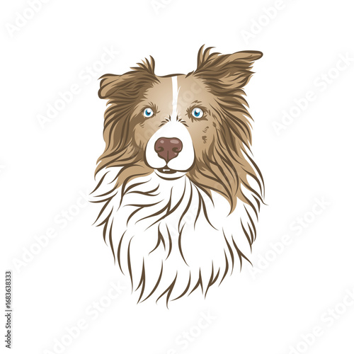 Charming hand-drawn vector portrait of a beautiful brown Border Collie dog with expressive blue eyes and fluffy fur, isolated on a white background