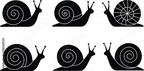 Silhouette set of snail illustrations with spiral shells, crawling garden animal design, nature wildlife vector, slow movement concept, decorative artwork