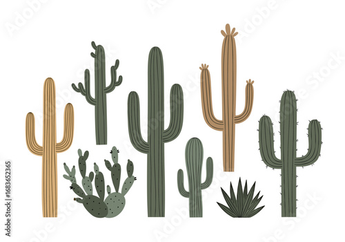 Diverse collection of desert succulents and cacti under the bright sun