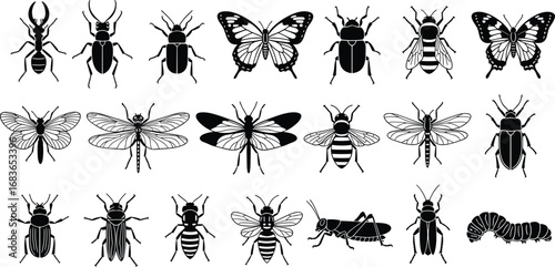 Insect Silhouette Set of 25 Species Including Butterflies, Beetles, Bees, Dragonflies, Ants, and Crawling Bugs for Vector Design