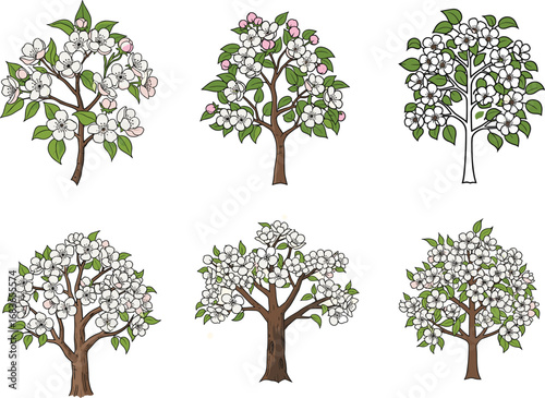 Apple tree vector set with blooming flowers, hand-drawn apple blossom illustrations perfect for spring, nature, garden, orchard, and floral design projects