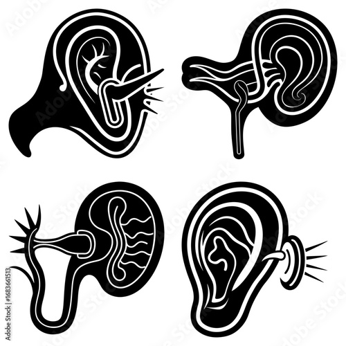 Illustration showing four different ear anatomy diagrams in black and white outline style with detail 100