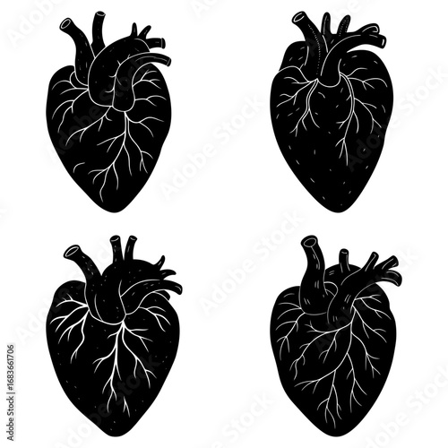 Four anatomical heart illustrations in black and white showing veins and arteries in detail and arrangement