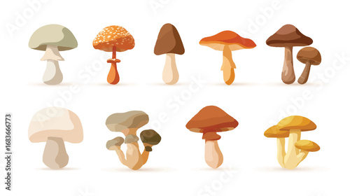 Assortment of cartoon mushrooms featuring different shapes colors and textures ideal for educational material or culinary themed designs