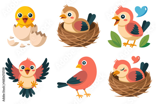 Bird nest and twig vector illustrations, nest textures, eggs in straw, mother bird feeding chicks, natural habitat graphics