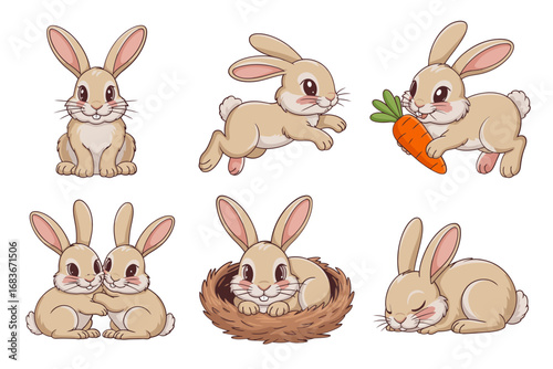 Cute bunny vector illustrations, sitting rabbits, nest scenes, baby hares resting, carrot eating bunnies, spring wildlife character graphics