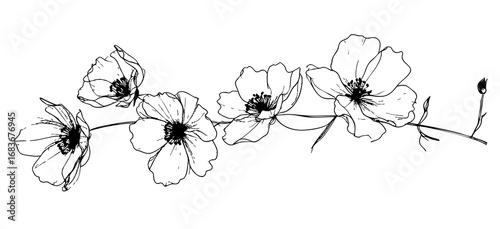 Minimalistyczna ilustracja kwiatowa – czarno-białe kwiaty dekoracja