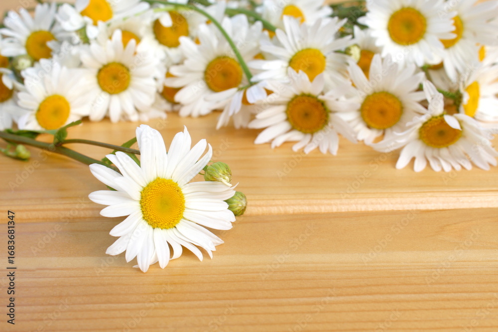 Obraz premium Chamomile flowers lie on a wooden background. 