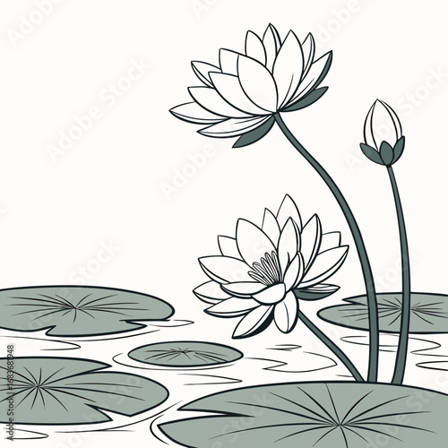 Elegant black and white line art illustration of water lilies and lily pads on a calm pond