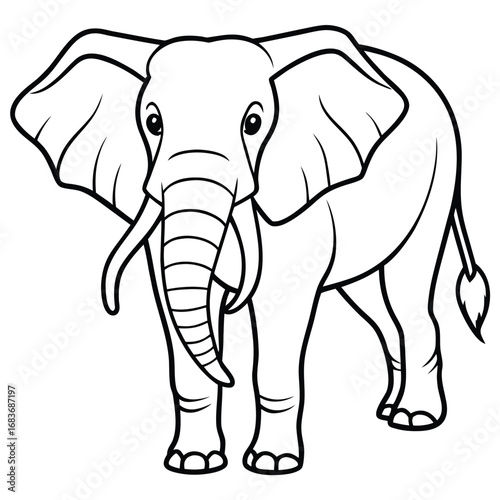 Animals