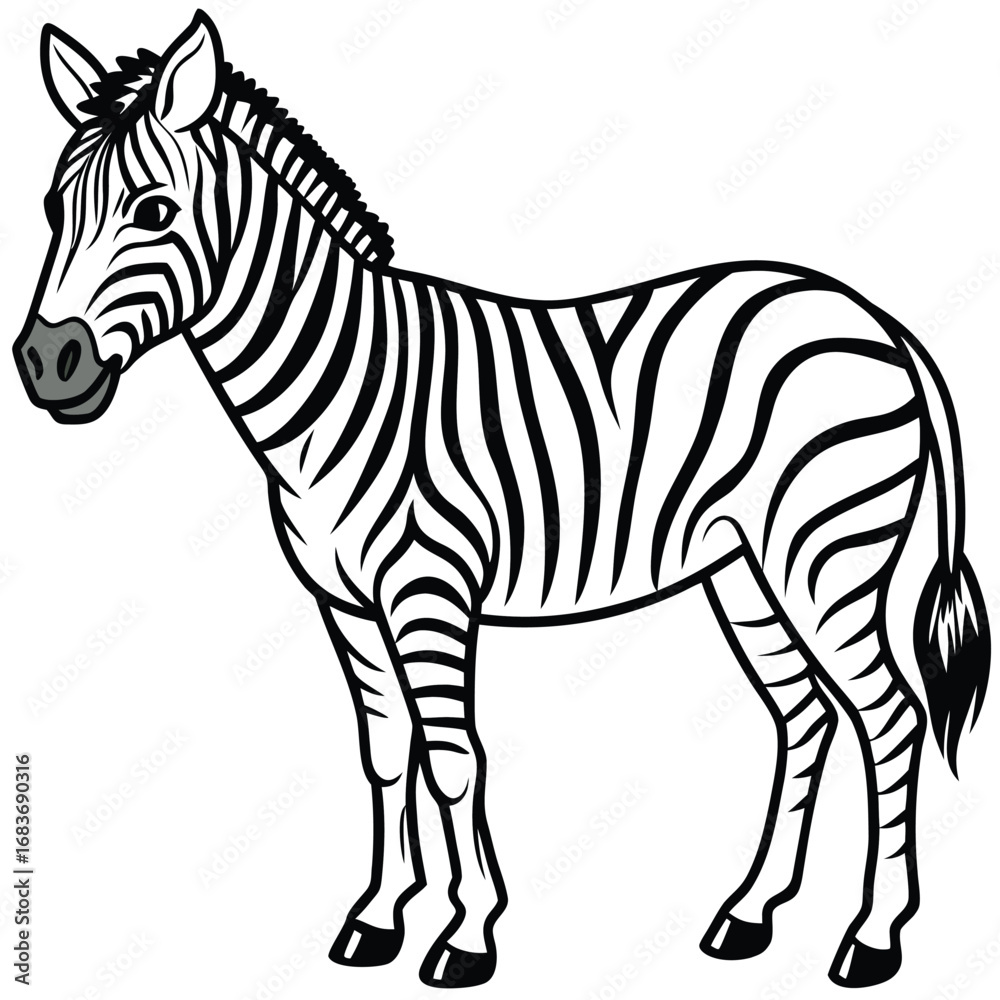 Obraz premium Animals