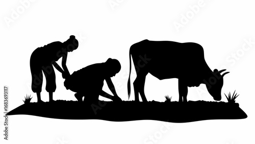 Silhouette of two people working in a field next to a cow grazing on grass in a rural setting scene