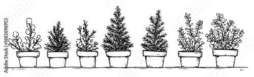 christmas potted trees in line art style for festive decoration