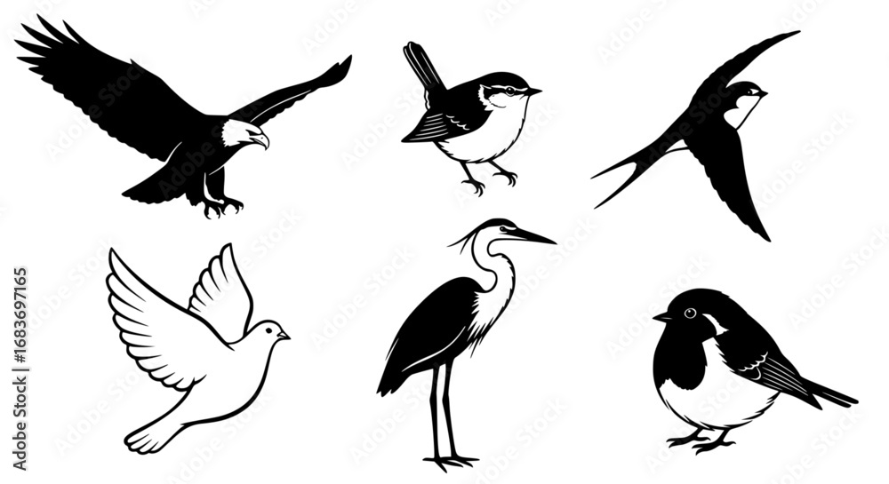 Obraz premium Illustrative silhouettes of diverse bird species, each uniquely capturing the essence of avian forms, and graceful beauty of the flying. vector illustration