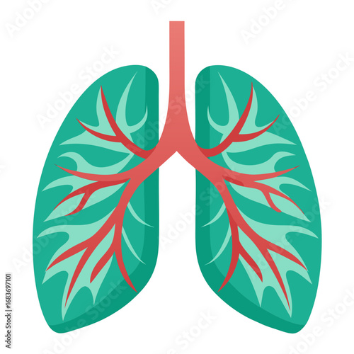 Stylized Lungs