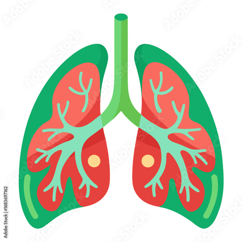 Stylized Lungs Illustration