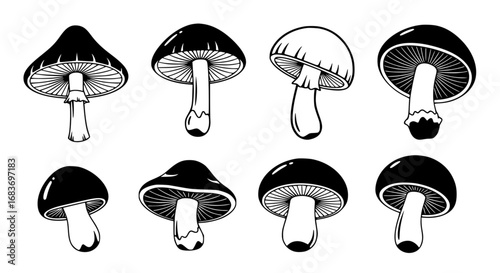 A collection of intricately illustrated mushroom illustrations, each showcasing unique shapes and details, perfect for a touch of nature's elegance. vector illustration