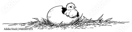 easter chick hatching from egg in grass in hand drawn style