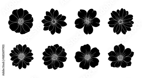 A monochrome artistic portrayal of diverse flowers in full bloom, revealing the elegant symmetry and intricate details of each blossom with a touch of artistry. vector illustration