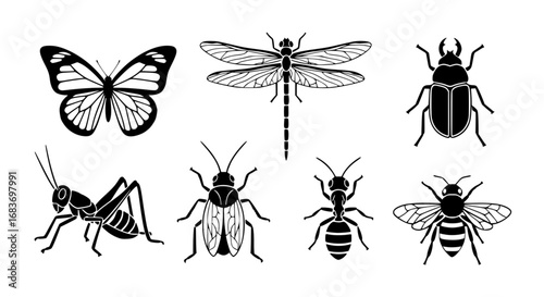 A meticulously crafted illustration featuring an exquisite array of insect, showcasing the delicate beauty of nature's tiny marvels. vector illustration