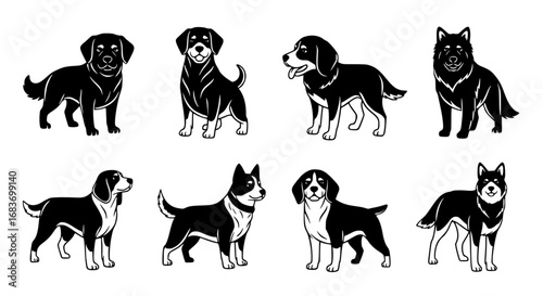A curated collection of various dog breeds showcases the diversity in design. This illustration of various dog breeds is perfect for a variety of design purposes. vector illustration