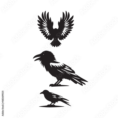 crow set silhouette tattoo,crow set silhouette png ,crow set silhouette flying ,crow set silhouette images	

