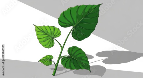 Green leaves growing on a plant with sunlight and shadows