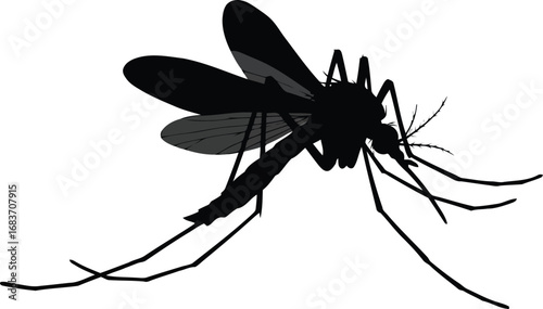 Detailed mosquito silhouette isolated on for pest control concepts vector