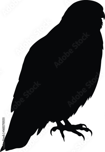 Silhouette of an owl perched gracefully against a clean backdrop vector