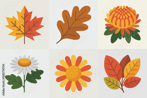Autumn flower and leaf collection, seasonal foliage illustration, fall botanical decorative design set