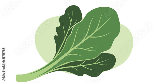 Healthy green leafy vegetables are good for your body and mind for a balanced diet